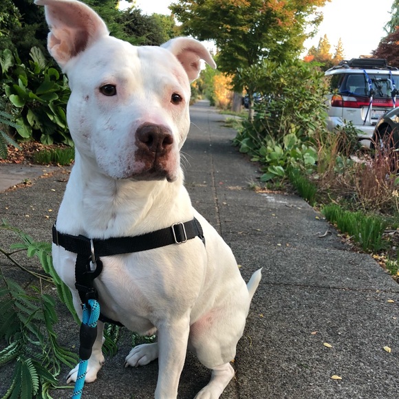 Hello - Picture 1 of 1